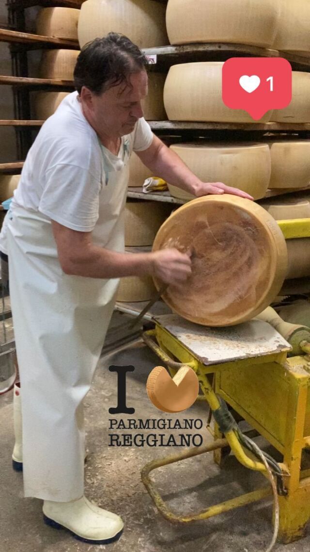 What is our friend Giorgio⁩ doing?

Find it out during our ebike/walking food tours!! 

#rideandtaste 
#parmigianoreggiano 
#ebikemodena